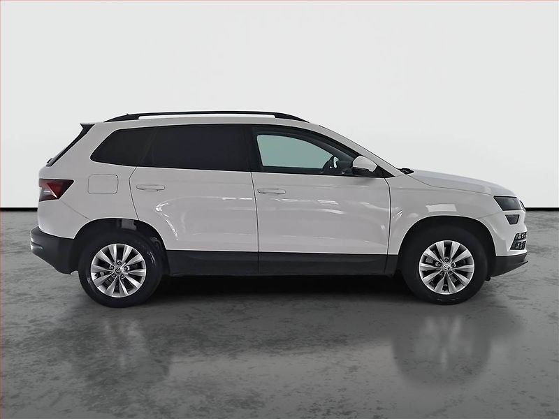 Škoda Karoq (2019) Ambition 2.0 TDI, Navi - fotka 6 z 19