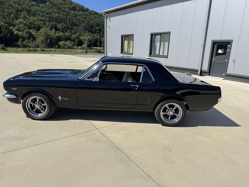 Ford Mustang V8 347cui - fotka 8 z 46