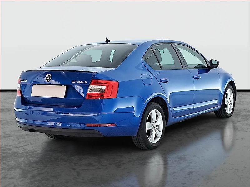Škoda Octavia (2019) 1.5 TSI, ČR,1.maj, Tempomat - fotka 5 z 17