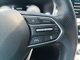 Hyundai Santa Fe 2,2 CRDi, DCT, 4x4 Premium - náhled 20