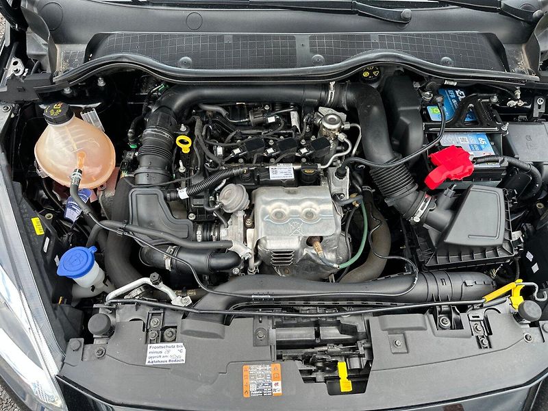 Ford Fiesta (2019) 1,0EcoBoost 92kw - fotka 23 z 23