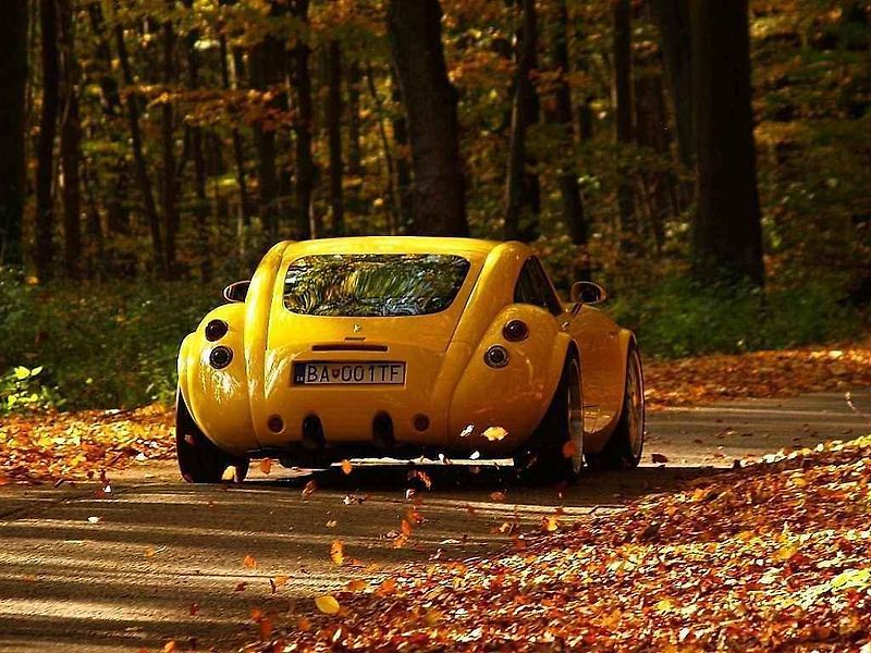 Wiesmann GT MF4.