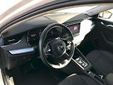 Škoda Octavia (2024) COM M-HEV STY PLUS TS110/1.5A7 - náhled 19