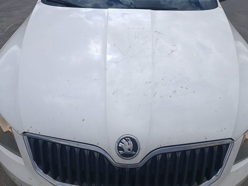 Škoda Octavia III 1.6 TDI - fotka 20 z 56