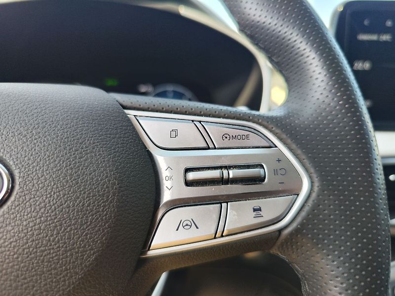 Hyundai Santa Fe 2.2 CRDI/142kW Luxury DCT 4x4 - fotka 31 z 41