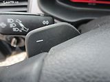 Seat Leon 1,5TSI-DSG-110KW-NOVÝ OLEJ - náhled 18