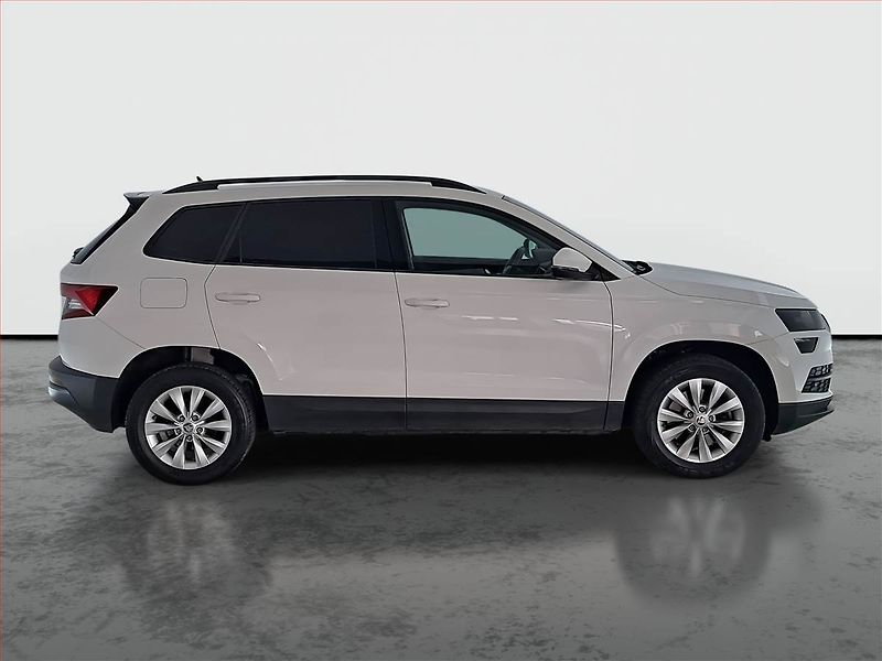 Škoda Karoq (2019) Ambition 2.0 TDI, Navi - fotka 6 z 19