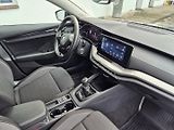 Škoda Octavia (2021) 2.0 TDI Odpočet DPH TOP VYBAVA - náhled 12