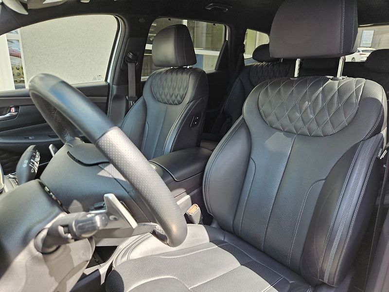 Hyundai Santa Fe 1.6 T-GDi PHEV,1.maj., Luxury - fotka 13 z 54