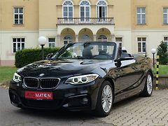 BMW Řada 2 228i Cabrio M-Sport H&K Kamera - fotografie inzerátu