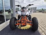 Kayo 180 Sport (2026) - náhled 9