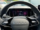 Škoda Kodiaq Exclusive Selection 2,0 TDI 14 - náhled 19