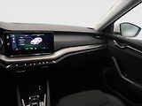 Škoda Octavia (2023) Ambition 2.0 TDI, Automat - náhled 8