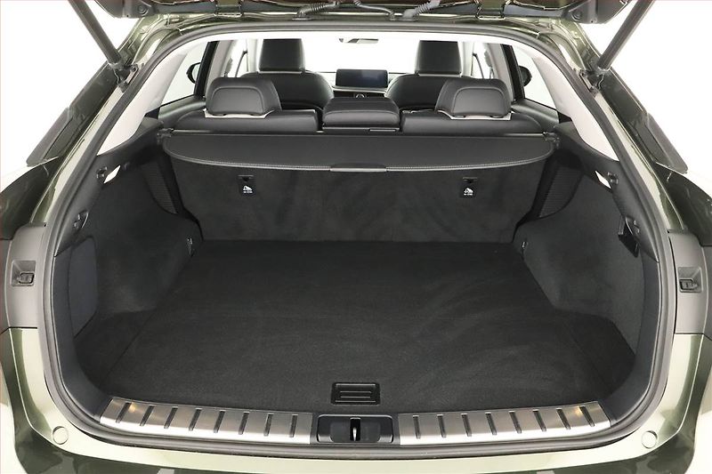 Lexus RX 400h (2023) 450 h - fotka 19 z 20