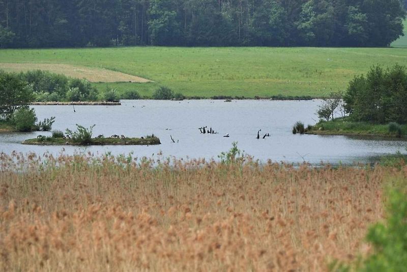 Pro ornitologa ráj, pro běžného turistu zážitek. To je Dračí jezero.