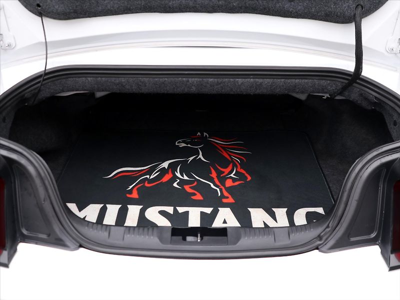 Ford Mustang 5,0 Ti-VCT 310kW V8 GT Aut. - fotka 10 z 33
