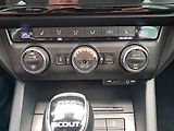 Škoda Octavia (2015) Scout 2.0 TDI, 4X4, Automat - náhled 17