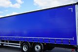 Volvo FH (2016) 420 / E 6 / FIRANKA  / 23 PALE - náhled 50