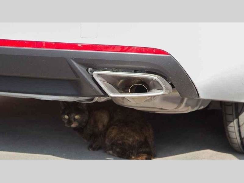 Výfuková koncovka u Škody Octavia RS.