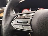 Hyundai Santa Fe 2.2 CRDI/142kW Luxury PNM DCT - náhled 30