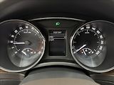 Škoda Superb 2,0 125kW L&K VÝHŘEV TAŽNÉ ČR - náhled 14
