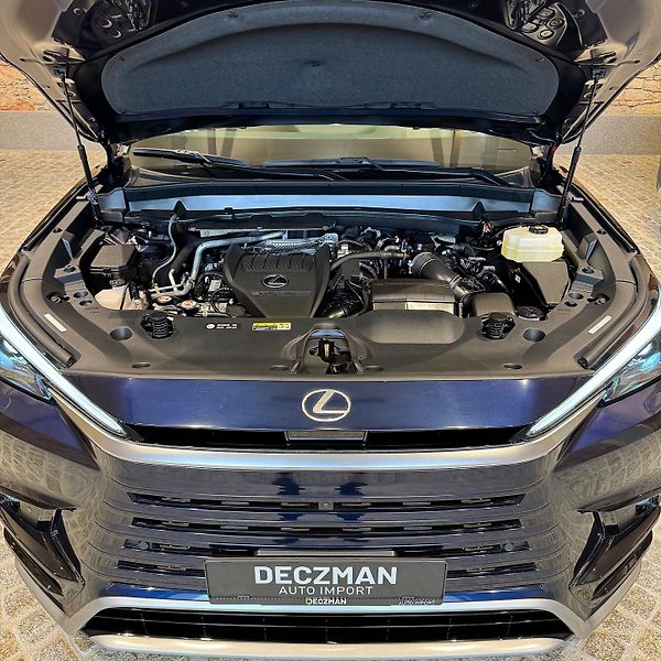 Lexus TX 500h (2025) F SPORT Performance 3  - fotka 40 z 41