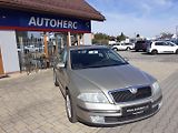 Škoda Octavia (2006) 1.9 TDi  1.MAJ.ČR - náhled 1