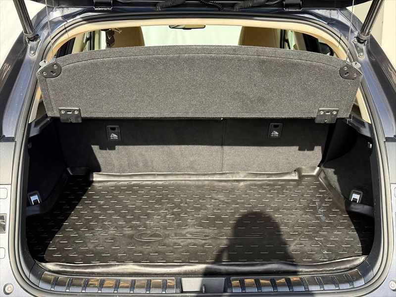 Lexus NX 300h 2,5 Executive Plus, 4x4  NX - fotka 22 z 22