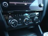 Škoda Octavia (2019) 1.6 TDI, 4X4, Serv.kniha - náhled 13
