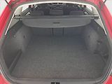 Škoda Octavia (2015) Ambition Plus 1.4 TSI CNG - náhled 14