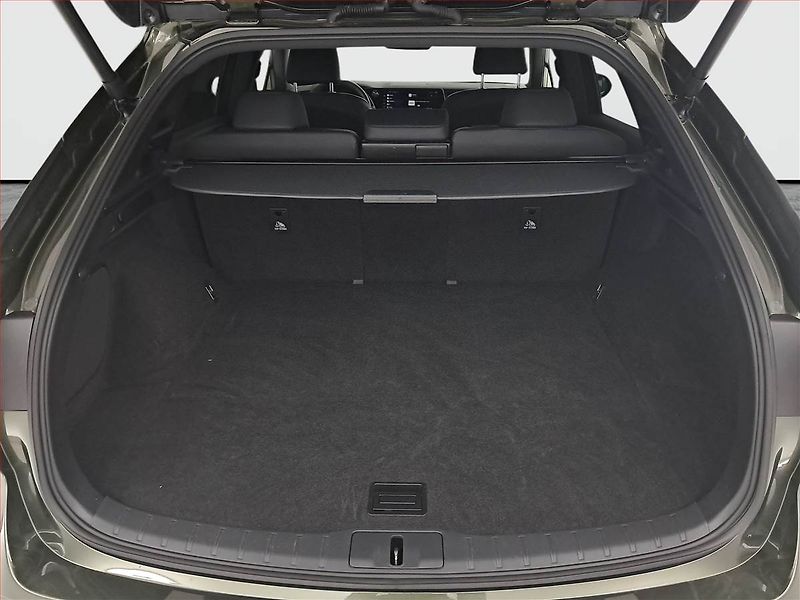 Lexus RX 400h (2024) 350h - fotka 14 z 22