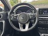Kia Ceed 1,4 TGDi 103kW Fresh ZÁRUKA - náhled 16