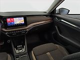 Škoda Octavia (2023) Scout 2.0 TDI - náhled 8