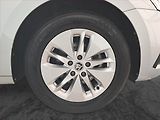 Škoda Octavia (2022) Ambition 2.0 TDI - náhled 15