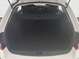 Škoda Octavia (2018) Ambition Plus 1.6 TDI - náhled 13