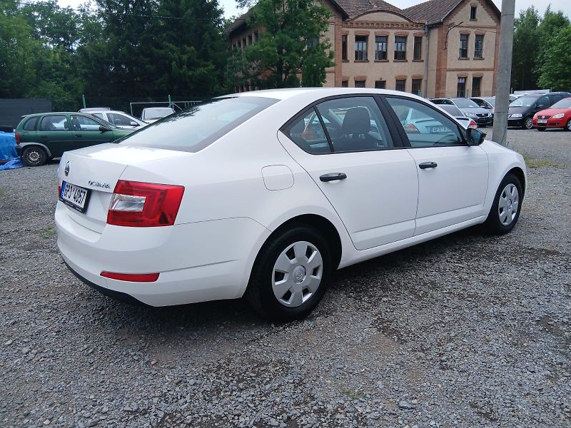 Škoda Octavia 1.6 TDI, bez koroze - fotka 12 z 39