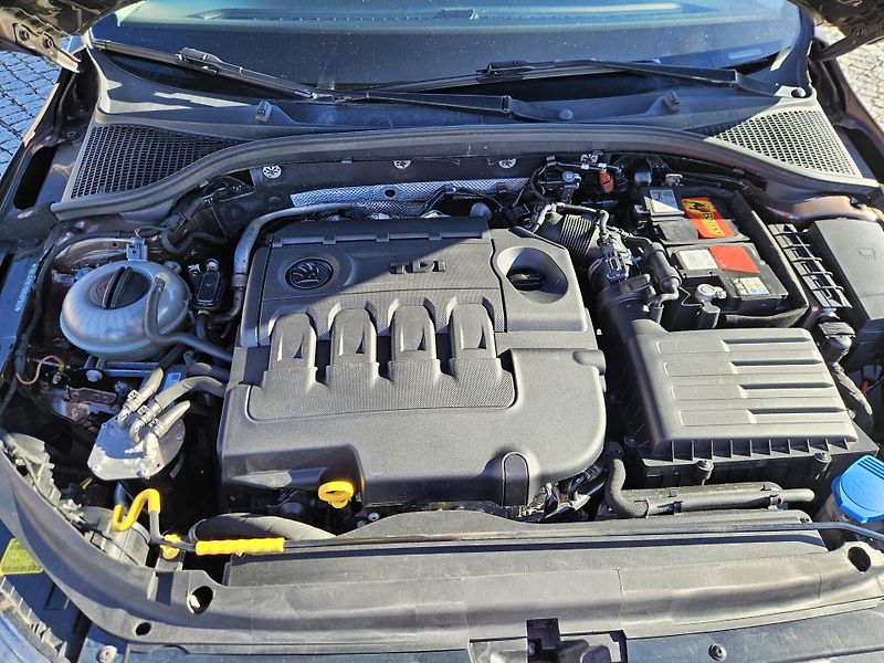 Škoda Octavia (2015) SUPER STAV, 81KW, SPLÁTKY  - fotka 19 z 23