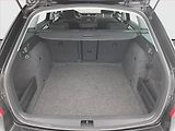 Škoda Octavia (2015) Style 1.6 TDI, Automat - náhled 14