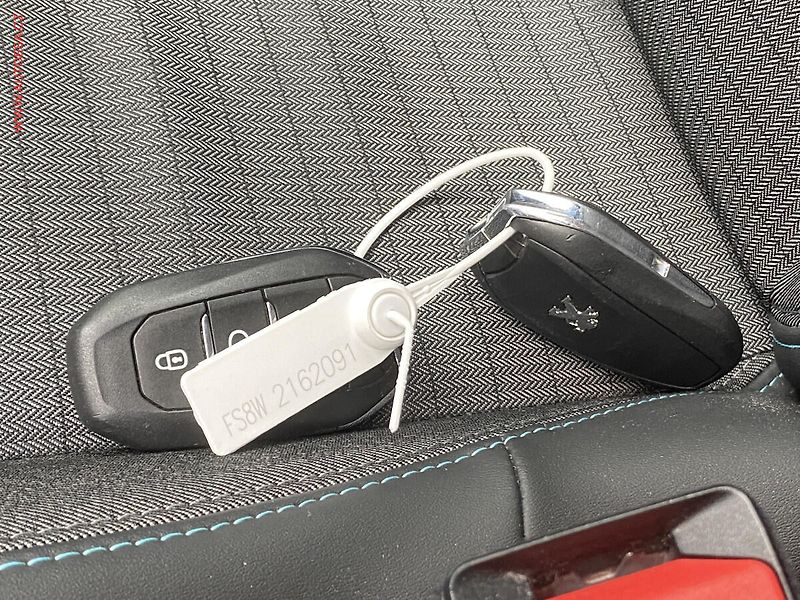 Peugeot 208 (2021) 1.2 PT, AC, tempo, kamera - fotka 18 z 18