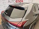Lexus UX 300h 300h 4x2 F Sport Design - náhled 9