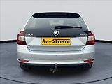Škoda Rapid 1,6 TDi,Pano,DSG,TZ,Navi,DPH - náhled 6
