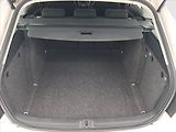 Škoda Octavia (2012) Ambition 2.0 TDI, Automat - náhled 14