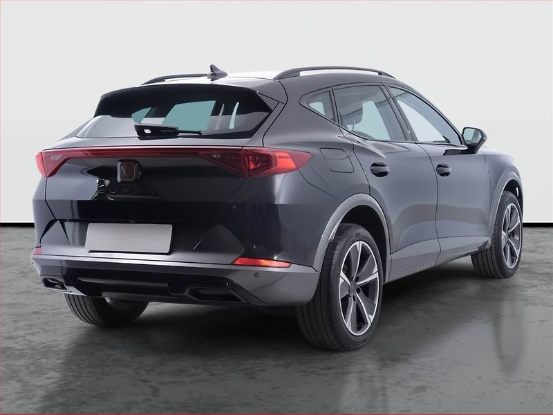 Cupra Formentor (2024) 2.0 TSI 4Drive - fotka 5 z 21