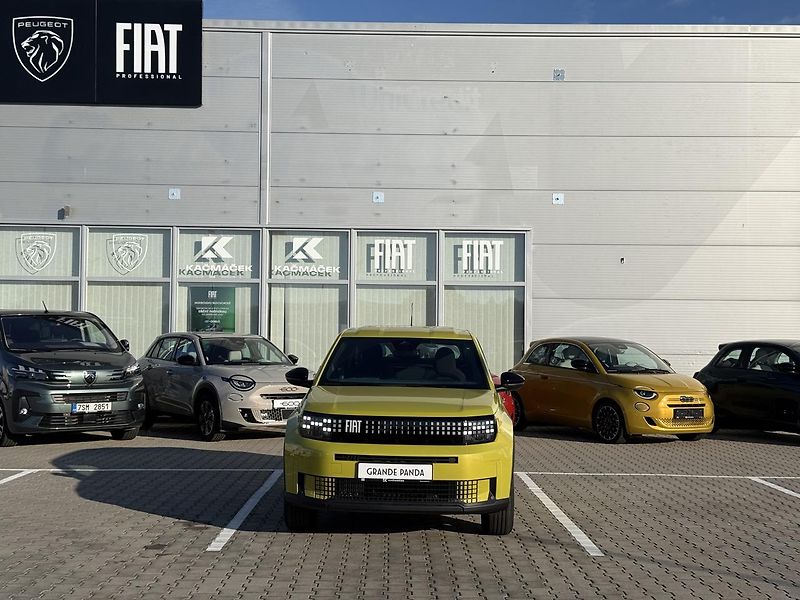 Fiat Grande Panda (2026) Icon 1.2 Turbo Hybrid 110k - fotka 9 z 25
