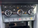 Škoda Karoq (2020) 2.0 TDi 4x4, Drive, DSG, LED - náhled 15