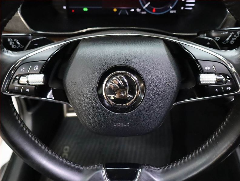 Škoda Octavia (2020) Scout 2.0 TDI, 4X4, Automat - fotka 25 z 27