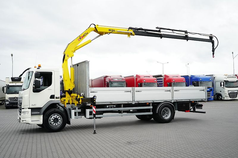 DAF LF (2014) 250 / SKRZYNIOWY + HDS / HYVA  - fotka 3 z 56