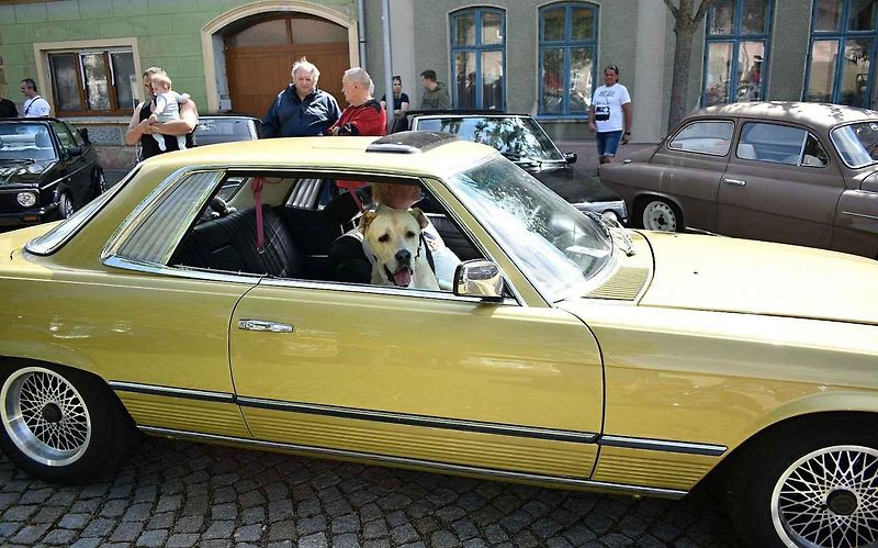 Nablýskaní veteráni projížděli v sobotu celým jihem Prostějovska. Konala se zde tradiční Veterán rallye. 17.6. 2023