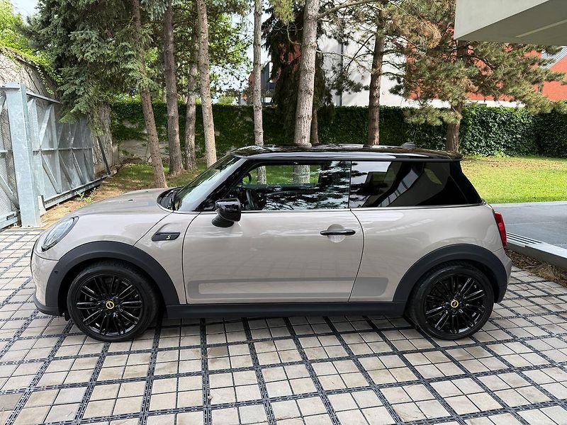 Mini Ostatní (2021) REZERVACE - fotka 3 z 36