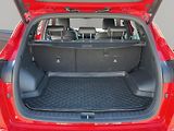 Hyundai Tucson (2019) N-line 2.0 CRDi 136kw, 4x4, ČR - náhled 17